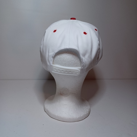 Vintage The Dallas Morning News Promotional Snap Back Trucker Hat White / Red Se - Picture 4 of 6